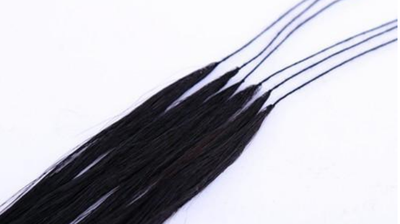Feather Extensions.png